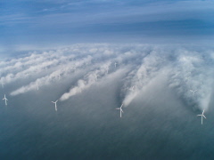 Windmill Wakes horns_rev.jpg