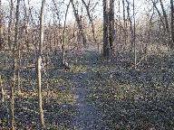 Img_3185.jpg