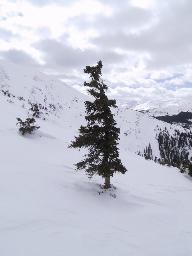 Location:Mount Flora, Colorado Img_3455.jpg