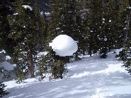 Location:Mount Flora, Colorado Img_3456.jpg