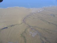 IMG_1211.jpg