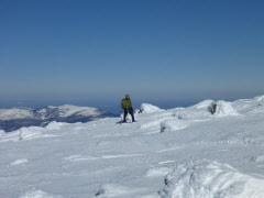 P1000067.jpg
