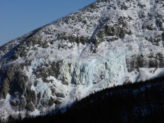 P1000136.jpg