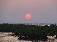 Img_8571.jpg