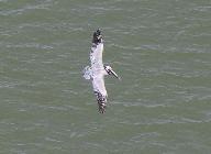 small_Img_8671.jpg