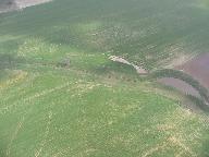 Location: Pryor, Oklahoma Img_7861.jpg