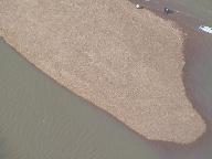 Location: Grand River, Oklahoma Img_7872.jpg