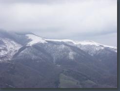 PICT2346.jpg