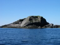 IMG_0936.jpg