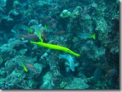 IMG_0086.jpg
