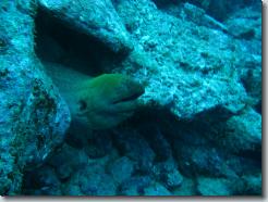 IMG_0263.jpg