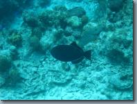 IMG_0837.jpg