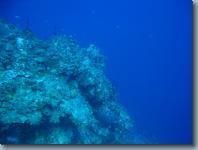 IMG_1065.jpg