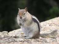 john-IMG_1420.jpg