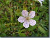 IMG_1391.jpg