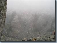 IMG_1479.jpg