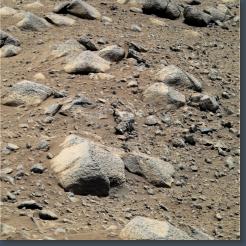 Mars Rocks