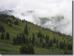 IMG_0963.JPG