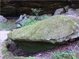 small_P1140409.webp