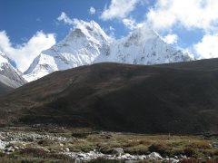 IMG_0504.jpg