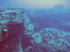 IMG_0124.jpg