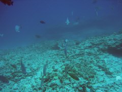 IMG_0691.jpg