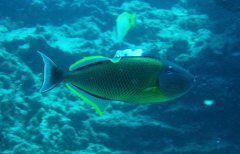 IMG_0816.JPG