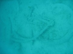IMG_0932.jpg