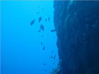 Lehua Crater Underwater