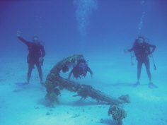 Midway Underwater