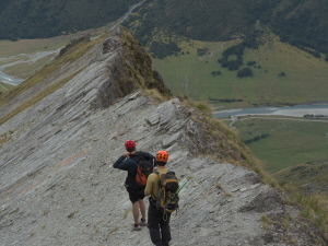 Shark Tooth, NZ