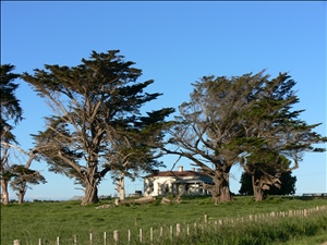 P1180635a.jpg