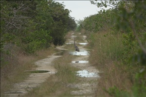 P0003648.jpg