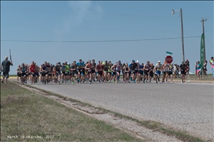 P1000526.jpg