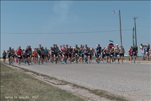 P1000527.jpg