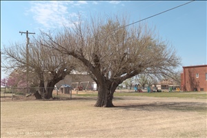 P1000894.jpg