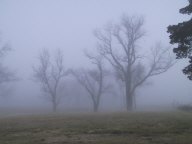 foggy.jpg