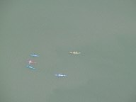 kayaks.jpg