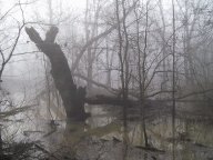 spooky.jpg