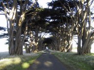 tunnel.jpg