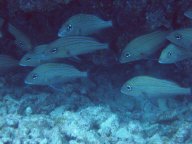 IMG_5336.jpg