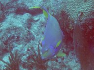 IMG_5487.jpg