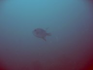 IMG_5666.jpg