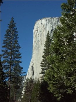 PICT1224.jpg, 1200x1600 PICT1224.jpg