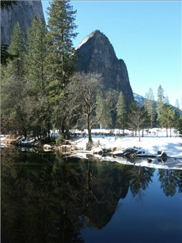 PICT1229.jpg, 1200x1600 PICT1229.jpg