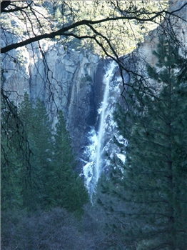 PICT1254.jpg, 1200x1600 PICT1254.jpg