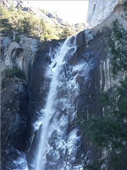 PICT1259.jpg, 1200x1600 PICT1259.jpg