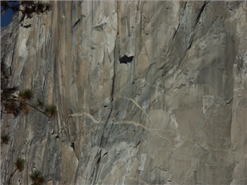 PICT1284.jpg, 1600x1200 PICT1284.jpg