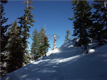 PICT1315.jpg, 1600x1200 PICT1315.jpg